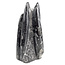 Orthoceras  B kwaliteit 18 cm hoog