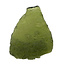 Moldavite from Czech Republic