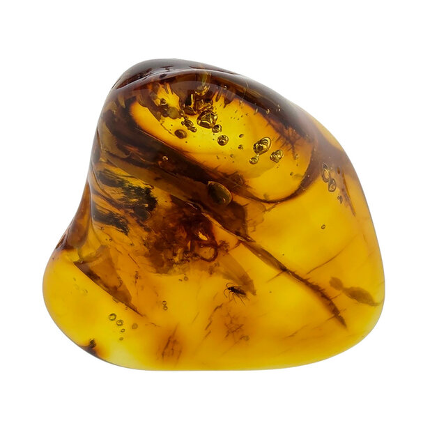 Baltic amber with enclosed insect