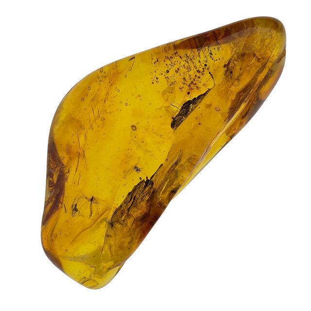 Baltic amber with enclosed insect