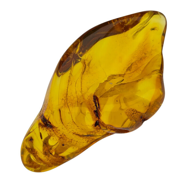 Baltic amber with enclosed insect