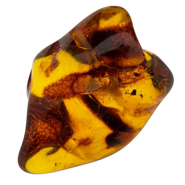 Baltic amber with enclosed insect