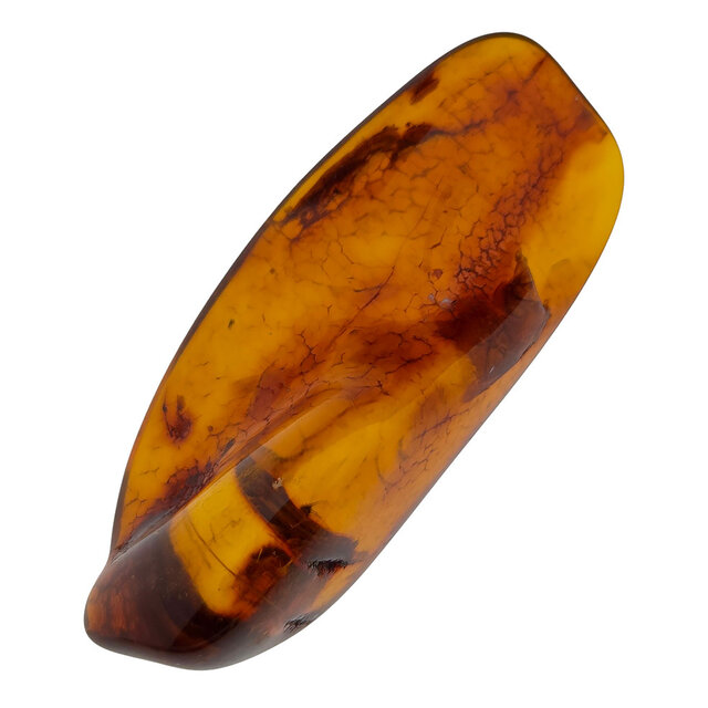 Baltic amber with enclosed insect