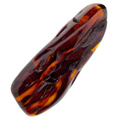 Baltic amber with enclosed insect