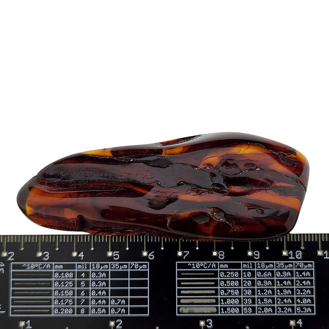 Baltic amber with enclosed insect