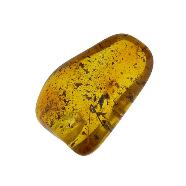 Baltic amber with enclosed insect