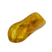 Baltic amber with enclosed insect
