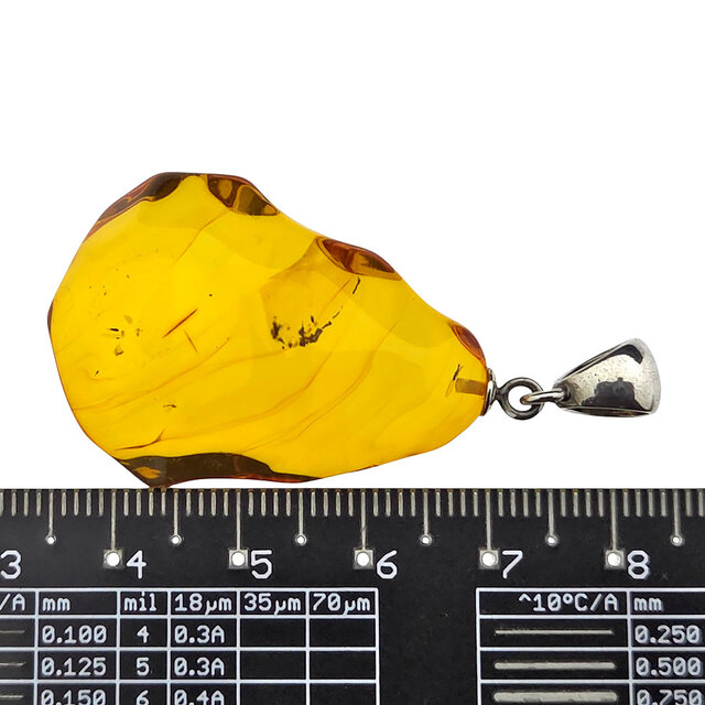 Hanger van Baltisch Barnsteen met zilver