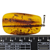 Baltic amber pendant silver