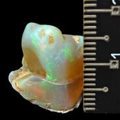 Tumbled Welo opal