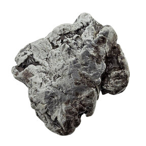 Campo del Cielo meteorite