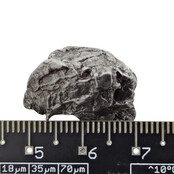 Iron meteorite crystal