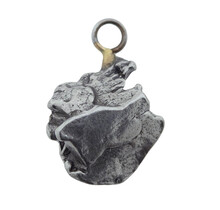 Iron meteorite crystal pendant