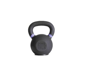 Fitribution 20kg kettlebell avec anneaux colorés