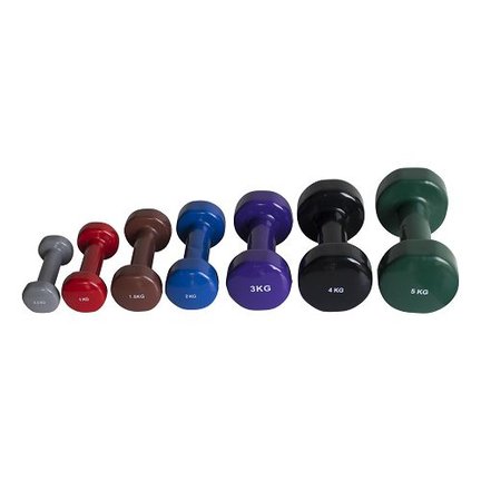 Vinyl dumbbell