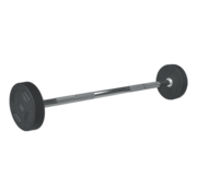 Fitribution 10kg PU straight fixed barbell