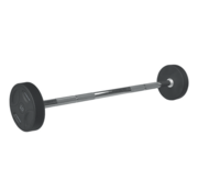 Fitribution 30kg PU straight fixed barbell