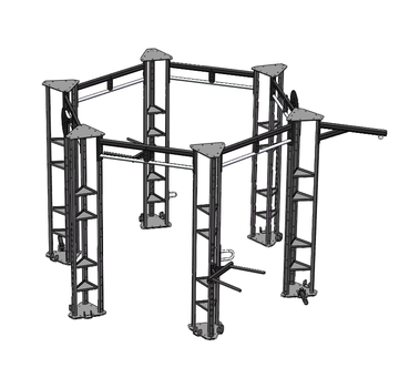 Fitribution Hex functional training  rig