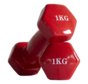 Aerobic dumbbells 1kg (1 pair)