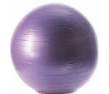 Fitribution Gymball 55cm