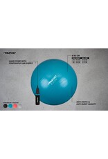 Fitness/ Gymbal + pomp Diameter 65cm