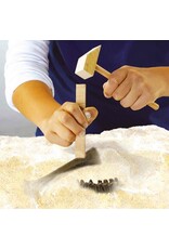 SES Dino en skelet opgraven 2 in 1- Stegosaurus