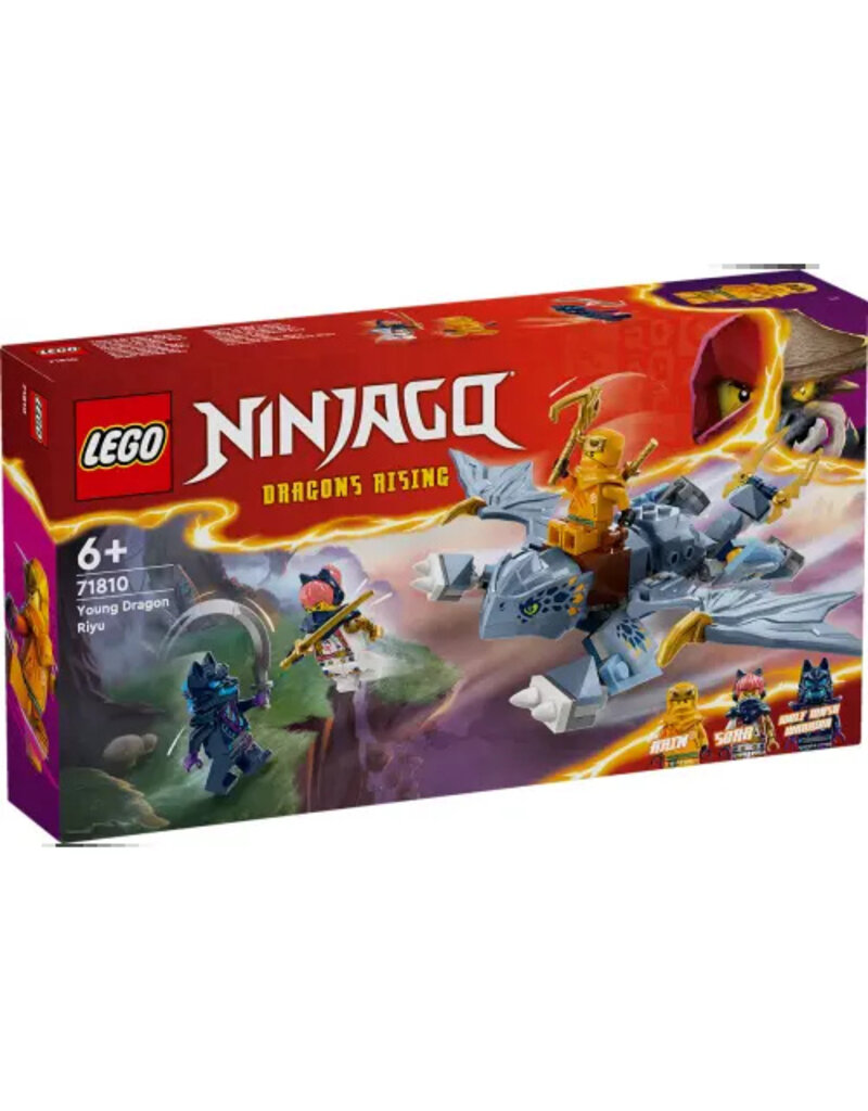 LEGO Ninjago Jonge draak Riyu