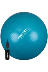 Fitness/ Gymbal + pomp Diameter 65cm