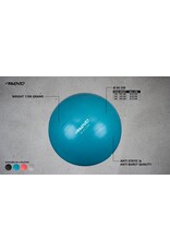 Fitness/Gymbal Ø 65 cm