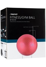 Fitness/Gymbal Ø 65 cm