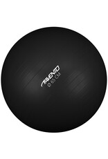 Fitness/Gymbal Ø 65 cm