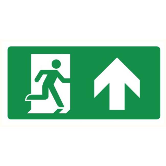 Pikt-o-Norm Pictogram nooduitgang rechtdoor