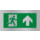 Pikt-o-Norm Pictogram nooduitgang rechtdoor