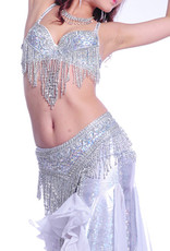 Belly dance costume in silver