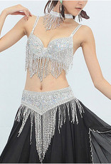 Belly dance costume in silver