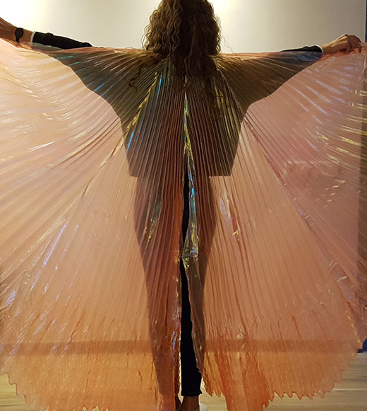 Schöne Isis Wings in organza .  Farbe orange