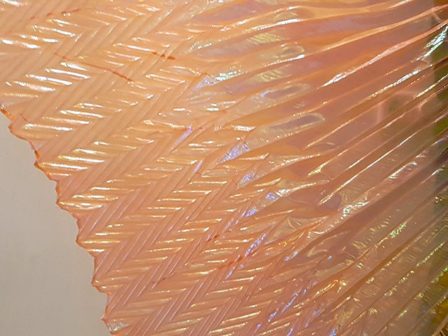 Isis wings organza orange