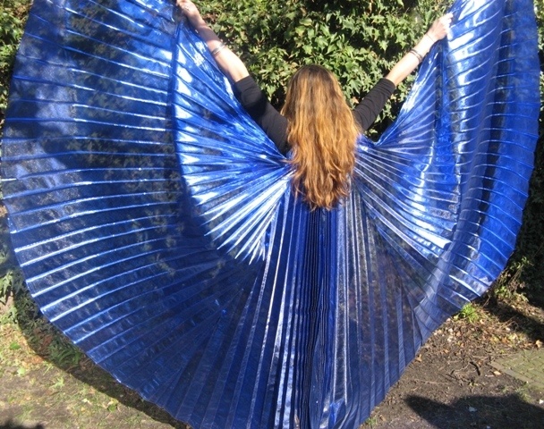 Schöne Organza Isis Wings in blau