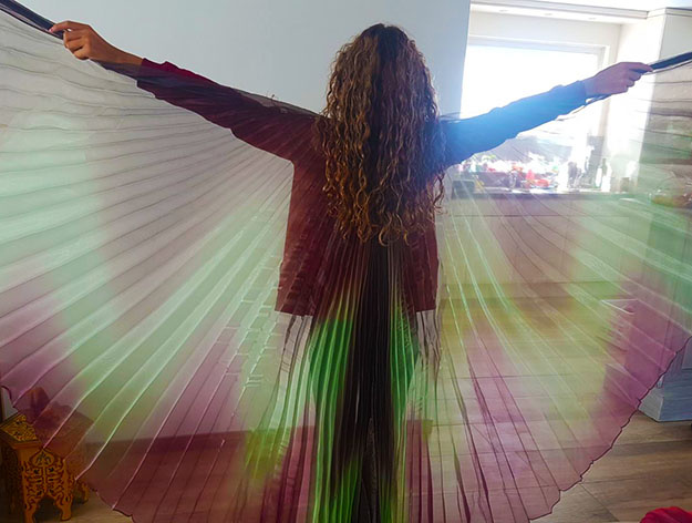 Isis wings bordeaux green organza