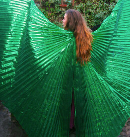 Organza Isis wings in green