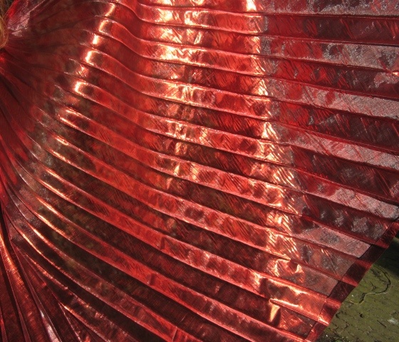 Schöne Organza Isis Wingsrot
