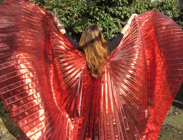 Schöne Organza Isis Wingsrot