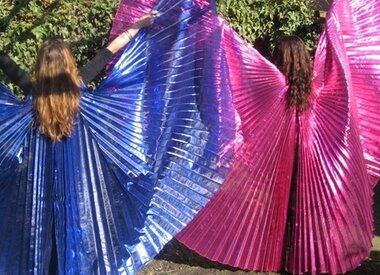 Isis Wings
