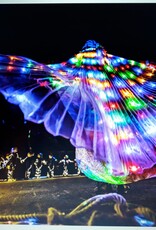 Isis wings multi led light