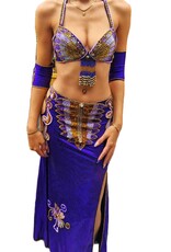 Sale; Professional belly dance costume
