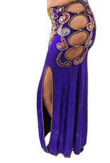 Sale; Professional belly dance costume