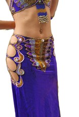 Sale; Professional belly dance costume