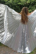 Schöne Isis Wings in silber