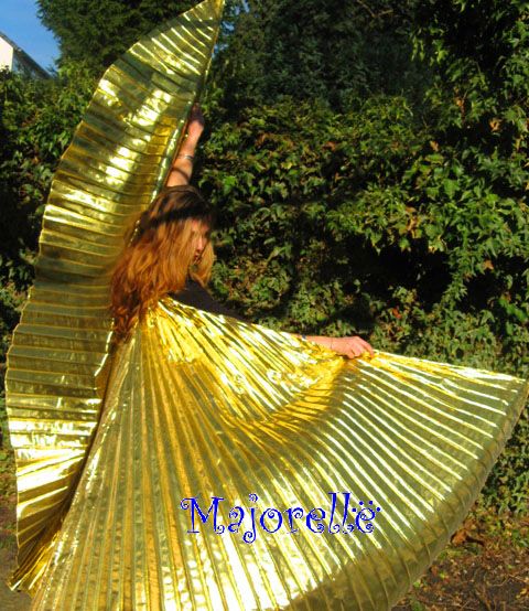 Schöne Isis Wings / Organza Flügel in Gold