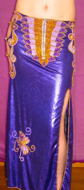 Sale; Professional belly dance costume